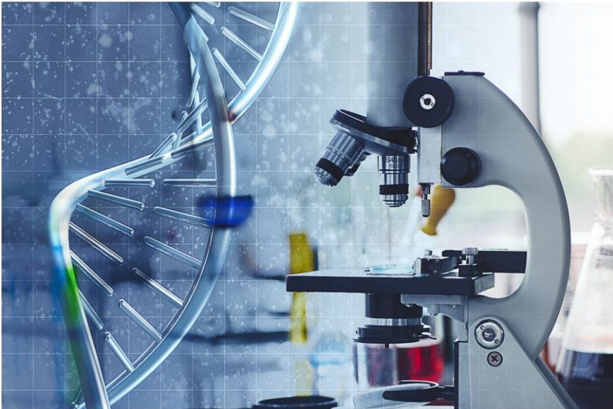 Ανώνυμο-σχέδιο-15-e1711790358979.jpg Σεξουαλικά Μεταδιδόμενα (Ανδρών - Γυναικών) με Τεχνική PCR - 12 Τεστ - Image 1